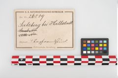 Etikett zu Kragenrandgefäß (NHMW-PRAE-026889)
